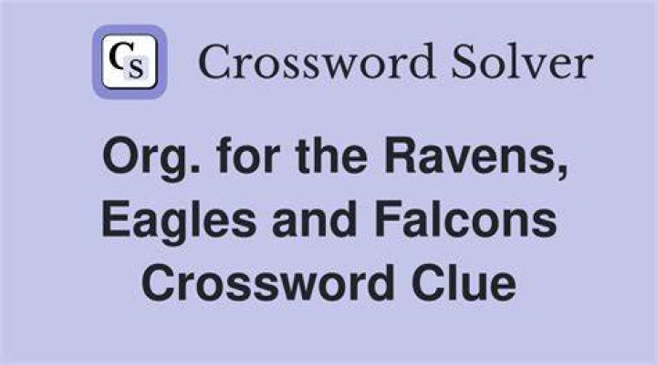 Eagles, falcons, hawks, etc. Crossword Clue
