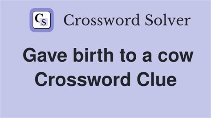 Foal : mare :: ___ : cow Crossword Clue