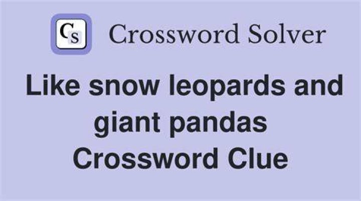 Like snow leopards and Siberian tigers Crossword Clue