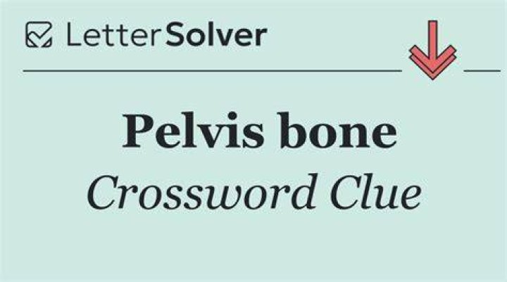 Pelvis bone Crossword Clue