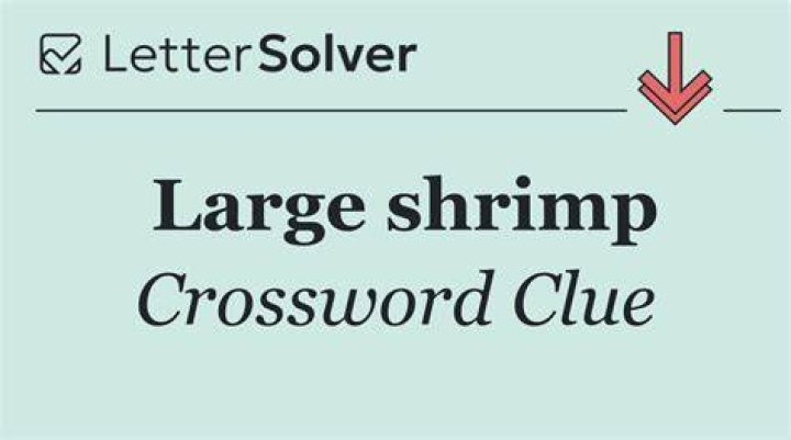 Place to catch shrimp Crossword Clue