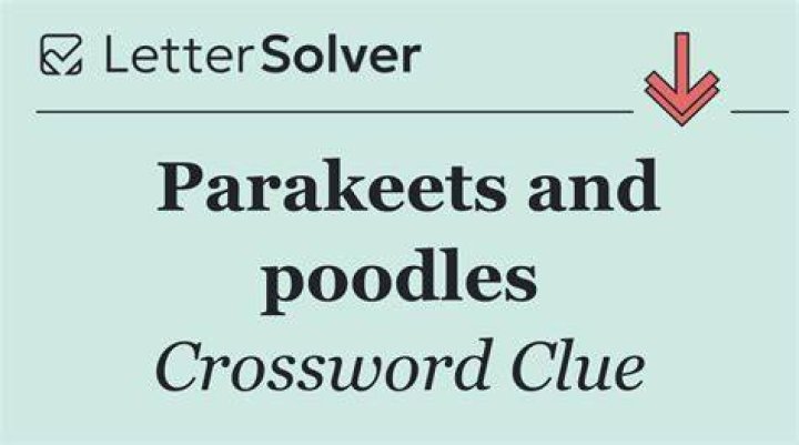 Poodles, but not schnoodles or doodles Crossword Clue