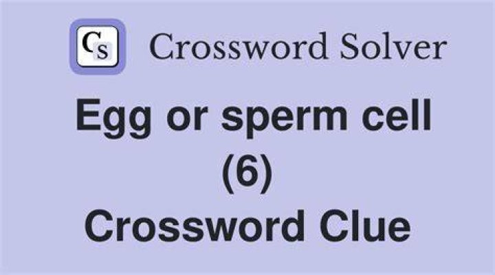 Release a fertilizable egg Crossword Clue