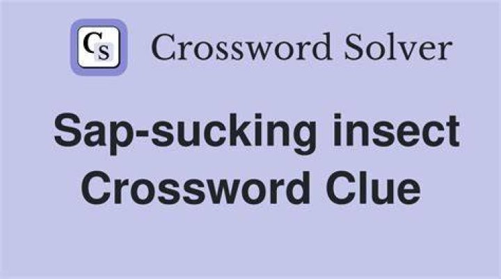 Sap-sucking bugs Crossword Clue