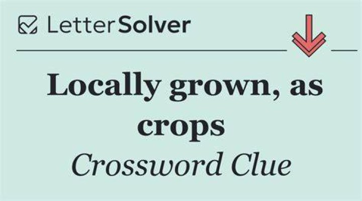 Shadows that have grown long? Crossword Clue