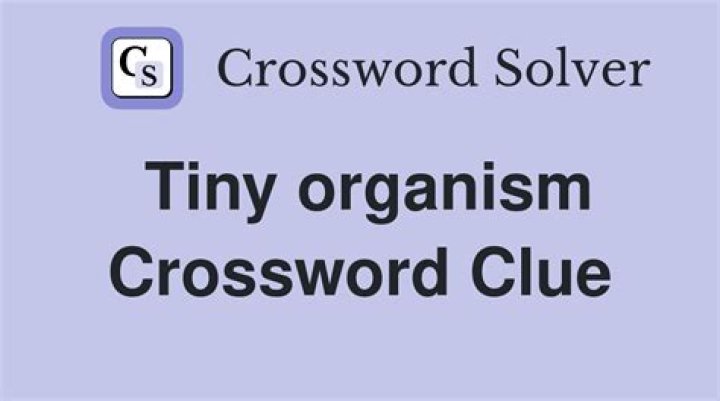 Tiny organism Crossword Clue