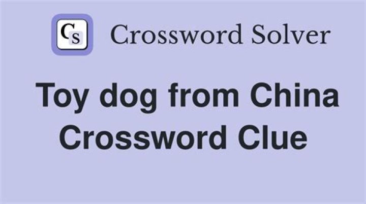 Toy dog from Tibet Crossword Clue