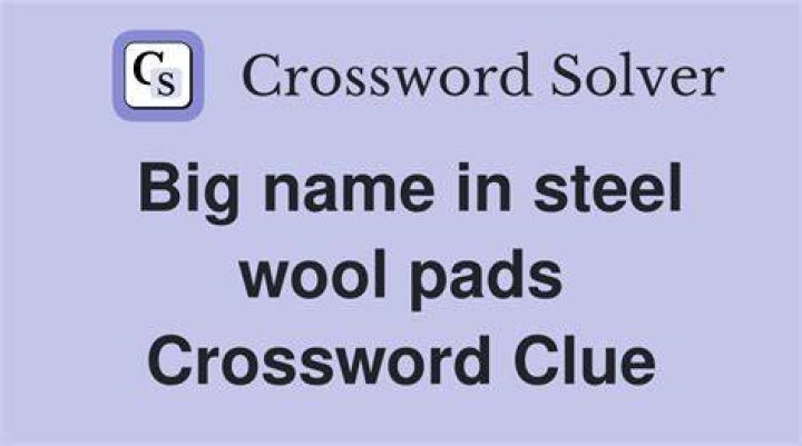 Use steel wool on Crossword Clue